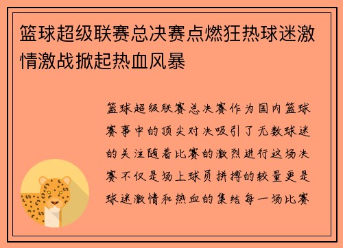 篮球超级联赛总决赛点燃狂热球迷激情激战掀起热血风暴